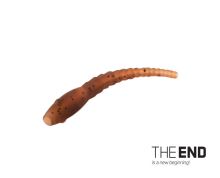 Delphin Vlasové rovnátko The End Wormer 6ks Delphin Vlasové rovnátko The End Wormer 6ks