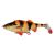 Savage Gear Gumová nástraha 4D Perch Shad 12,5cm 25g SS Albino Savage Gear Gumová nástraha 4D Perch Shad 12,5cm 25g SS Albino