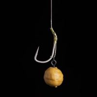 Nash Umělé tygří ořechy Floating Tigernut 6ks (1)