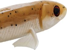 Westin Gumová nástraha Twinteez Pelagic V-Tail 17cm 16g 2ks (2)