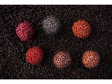Chytil Boilies Pandemia 100g 16mm (2)