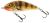 Salmo Wobler Fatso Floating 12cm Emerald Perch