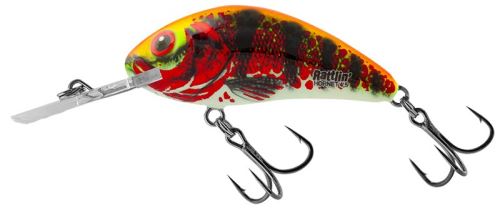 Salmo Wobler Rattlin' Hornet 5,5cm 10,5g Holo Red Perch