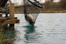 Preston Podběráková hlava Carp XS Landing Net (5)