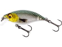 Westin Wobler BuzzBite SR Crankbait 5cm 6g Low Floating 3D Headlight